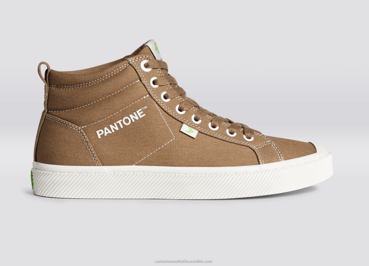 Men Cariuma Pantone Lion Canvas DFFFT64