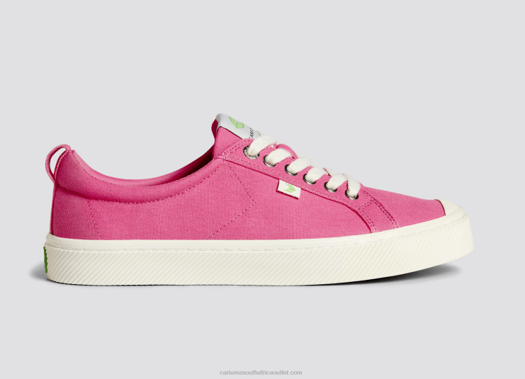 Men Cariuma Bright Pink Canvas DFFFT24