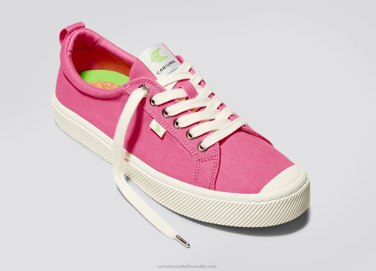 Men Cariuma Bright Pink Canvas DFFFT24