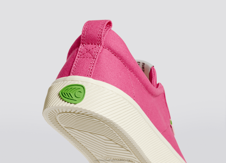 Men Cariuma Bright Pink Canvas DFFFT24