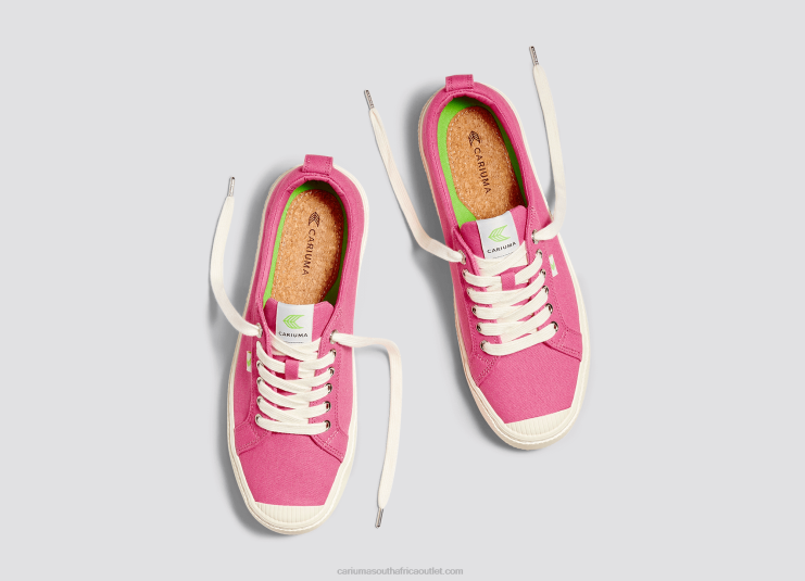 Men Cariuma Bright Pink Canvas DFFFT24