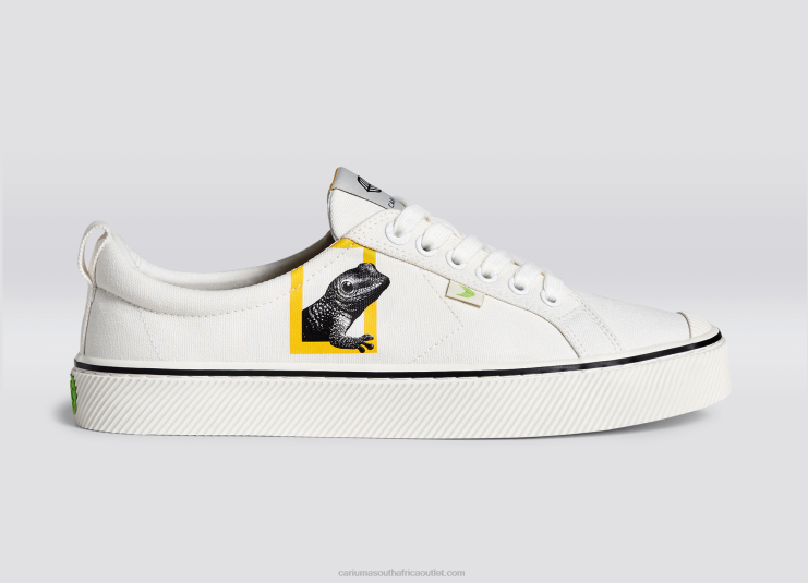 Men Cariuma National Geographic Gecko Off-White Canvas DFFFT85