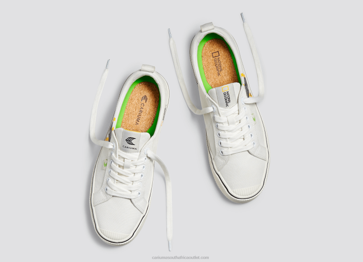 Men Cariuma National Geographic Gecko Off-White Canvas DFFFT85
