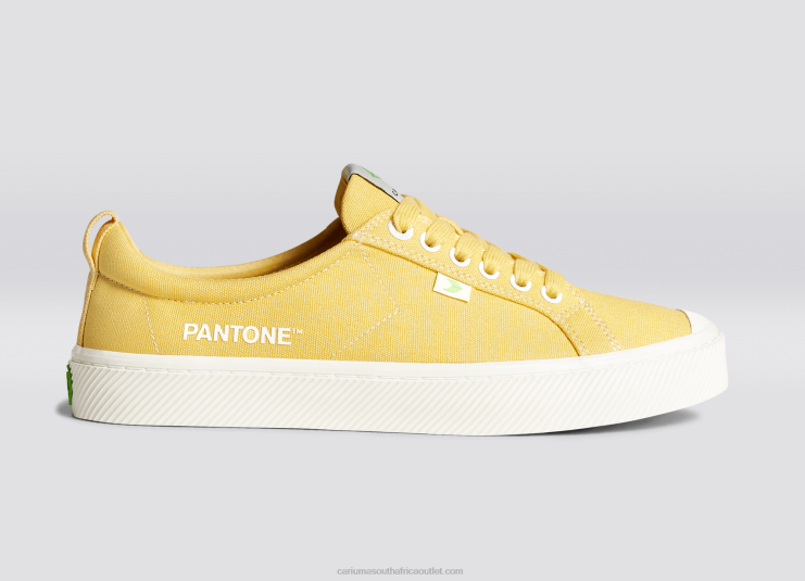 Men Cariuma Pantone Cornsilk Canvas DFFFT49
