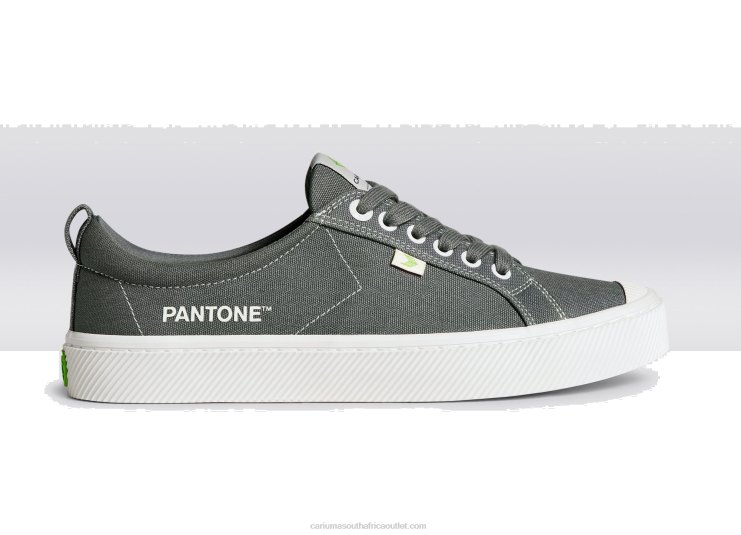 Men Cariuma Pantone Gargoyle Grey Canvas DFFFT40