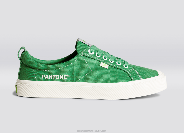Men Cariuma Pantone Greenbriar Canvas DFFFT20