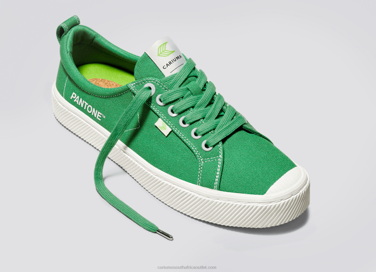 Men Cariuma Pantone Greenbriar Canvas DFFFT20