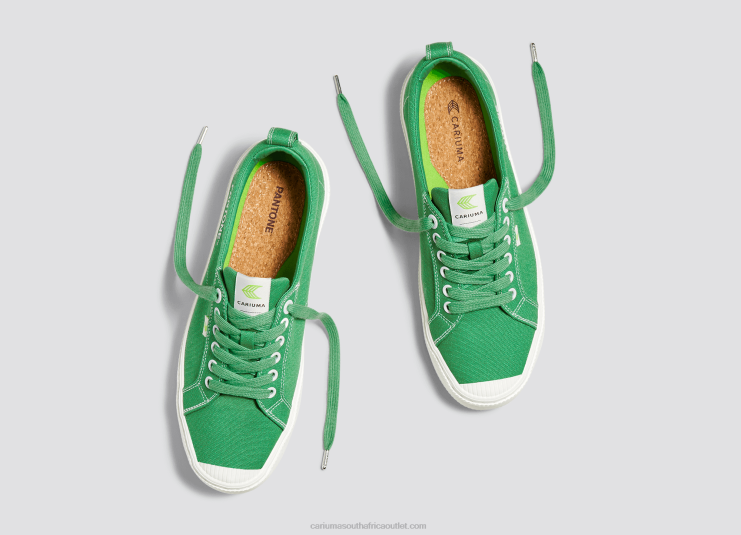 Men Cariuma Pantone Greenbriar Canvas DFFFT20