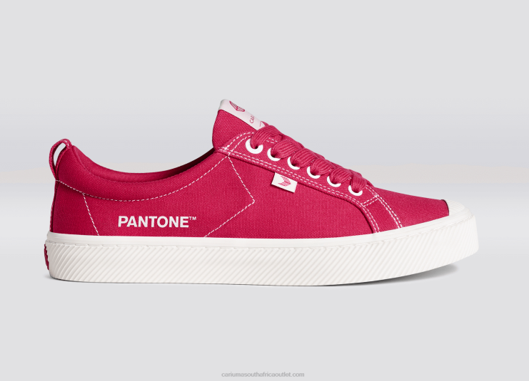 Men Cariuma Pantone Viva Magenta/Off-White Canvas DFFFT38