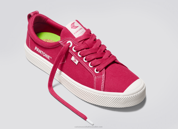 Men Cariuma Pantone Viva Magenta/Off-White Canvas DFFFT38