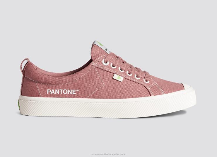 Men Cariuma Pantone Withered Rose Canvas DFFFT18