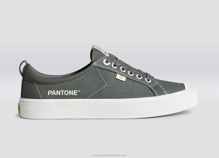 Women Cariuma Pantone Gargoyle Grey Canvas DFFFT253
