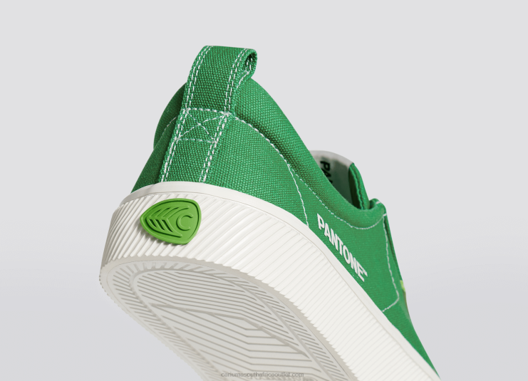 Women Cariuma Pantone Greenbriar Canvas DFFFT231