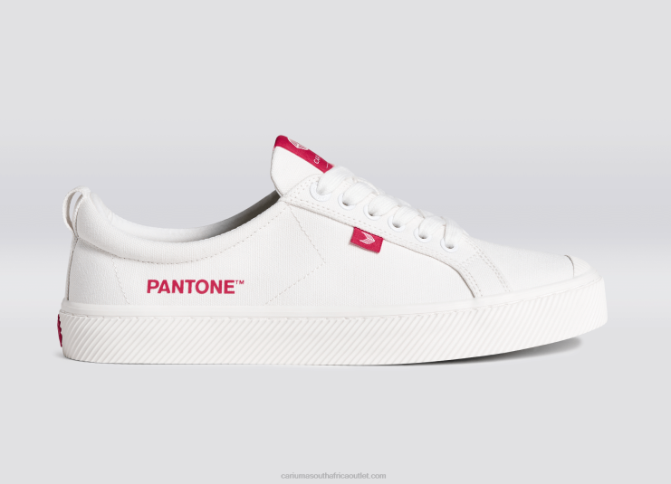 Women Cariuma Pantone Off-White/Viva Magenta Canvas DFFFT252